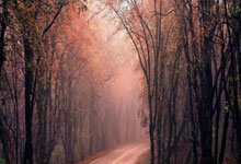 美团团购券核销 API入驻受限?零侵入低成本接口多店与 SaaS 接入